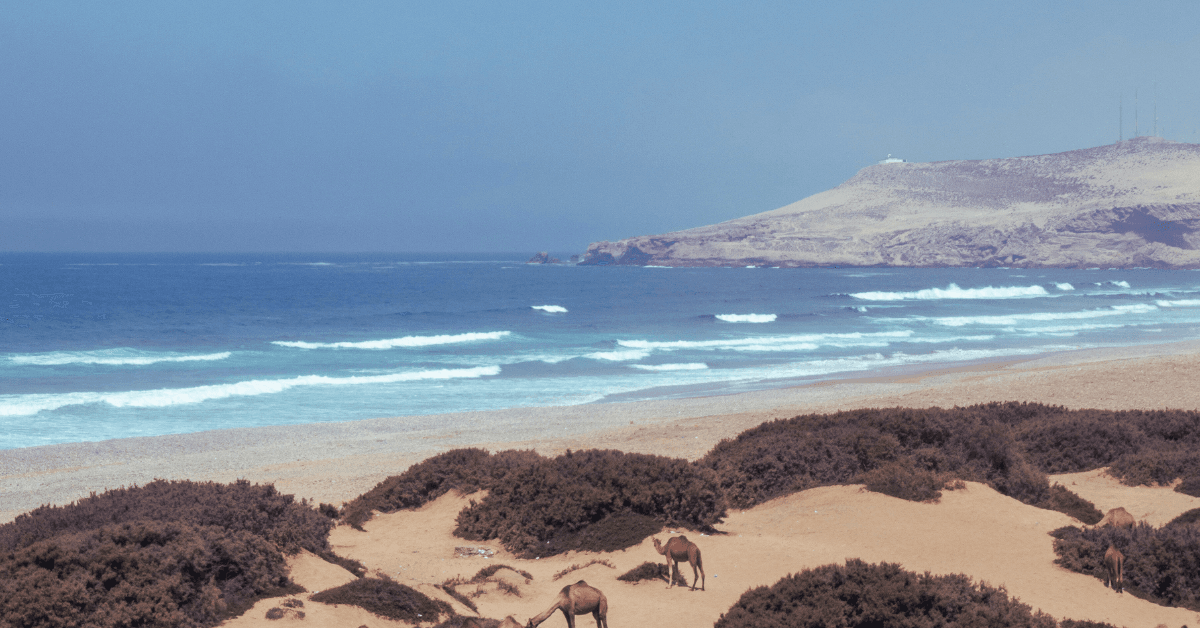 Tamri Agadir Morocco And Timlaline